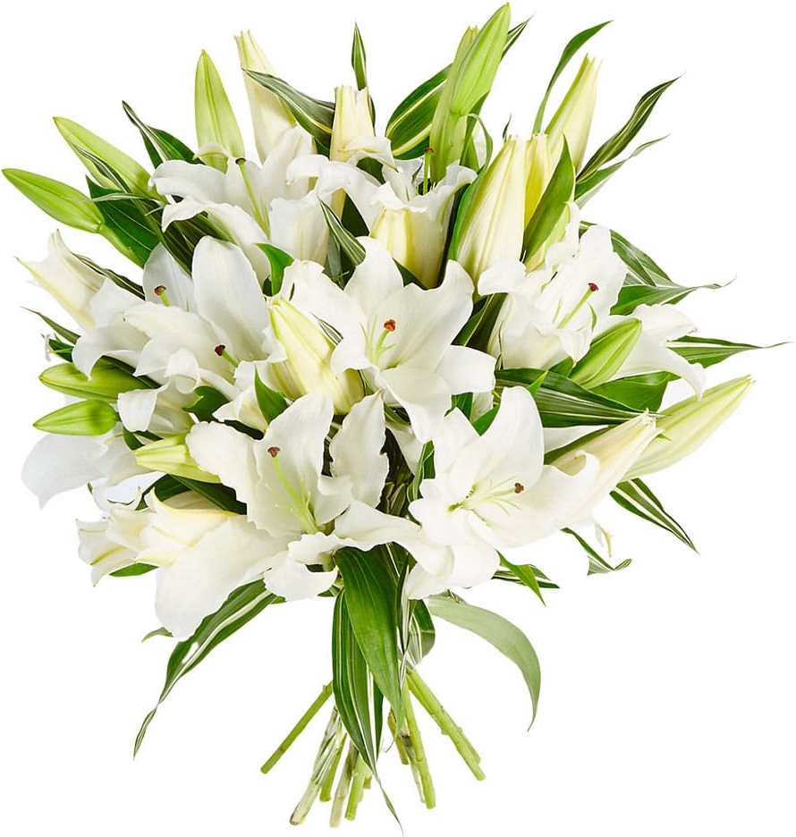Фотообои цветы | Белые лилии цветы для спальни фото flowers купить | витамин-п-байкальский.рф